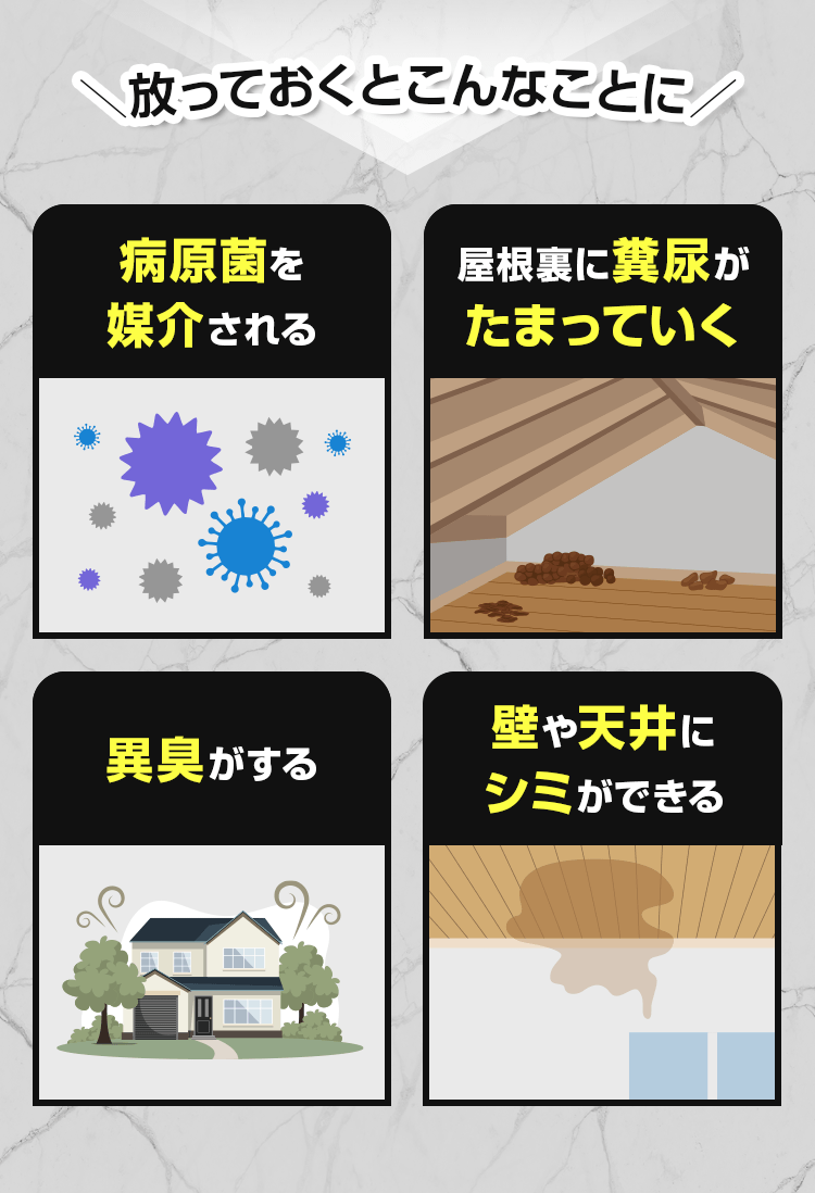 放っておくとこんなことに！