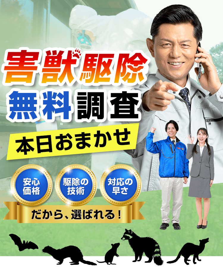 日本全国対応 害獣駆除無料調査