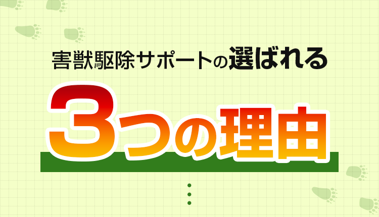 選ばれる3つの理由