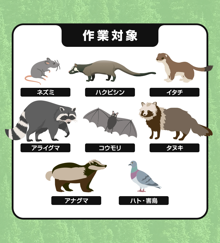 作業対象 ネズミ・ハクビシン・イタチ・アライグマ・コウモリ・タヌキ・アナグマ・ハト・害鳥